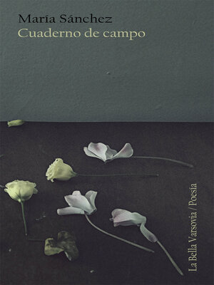 cover image of Cuaderno de campo